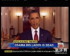 外国最新爆料新闻视频大全,最新爆料新闻视频大盘点